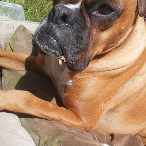 Meet your Posher, Timothy